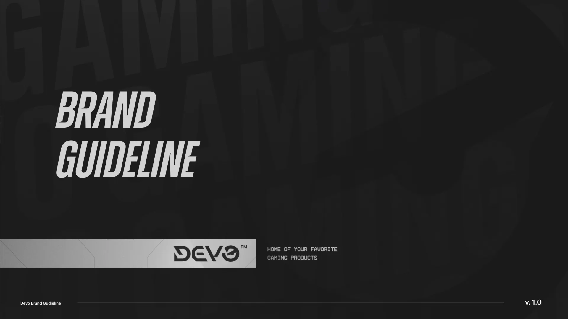 Devo Brand GuideLine