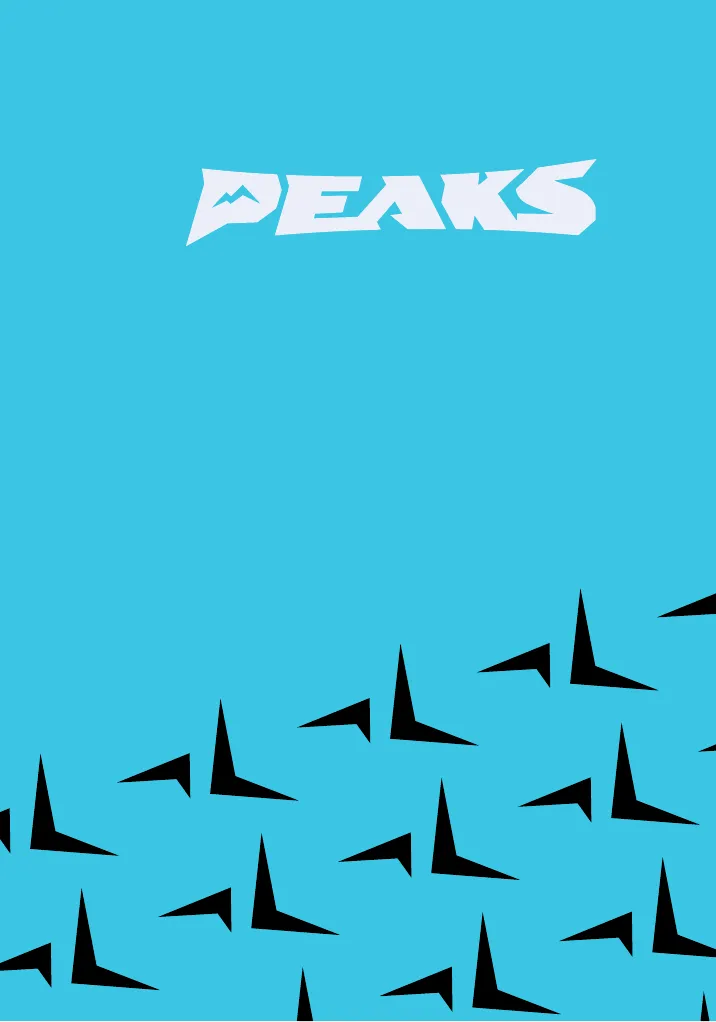 Peaks Full Brand Sheet — slide 4